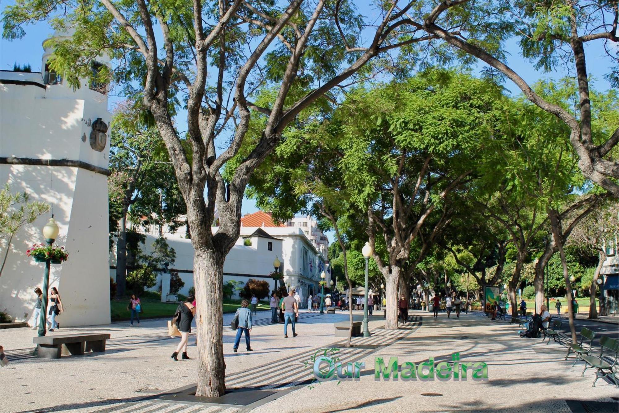 Ourmadeira - Heart Of Old Town II Apartment Фуншал Екстериор снимка