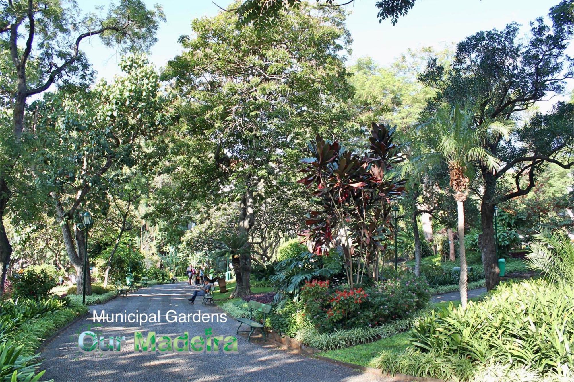 Ourmadeira - Heart Of Old Town II Apartment Фуншал Екстериор снимка