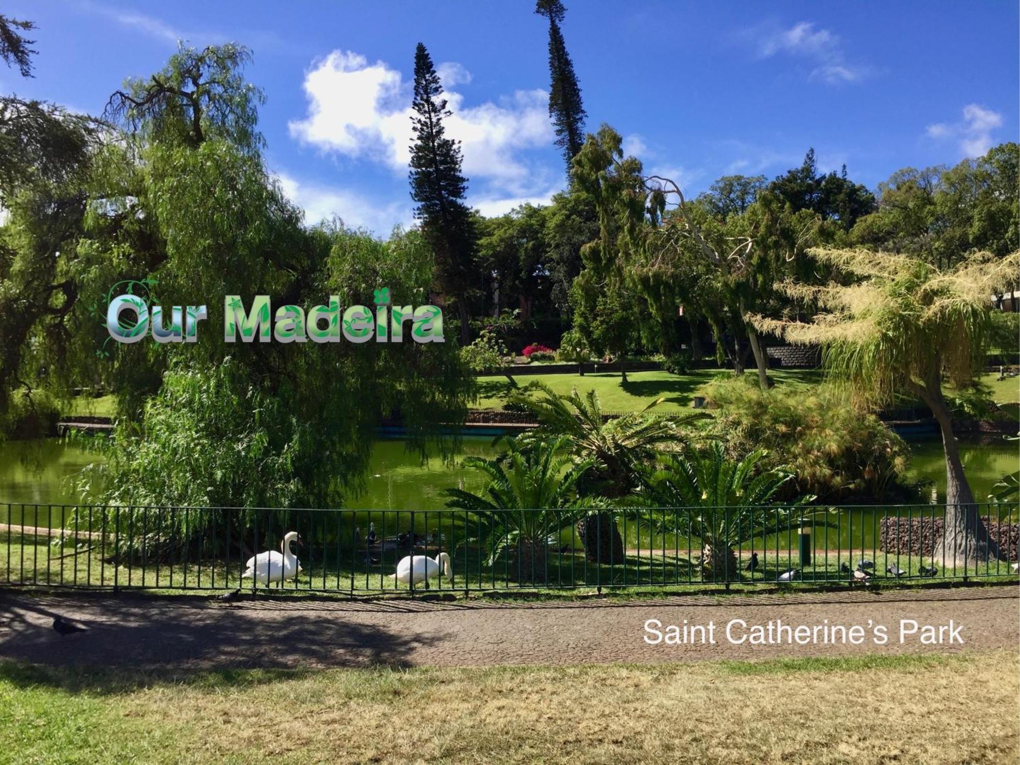Ourmadeira - Heart Of Old Town II Apartment Фуншал Екстериор снимка