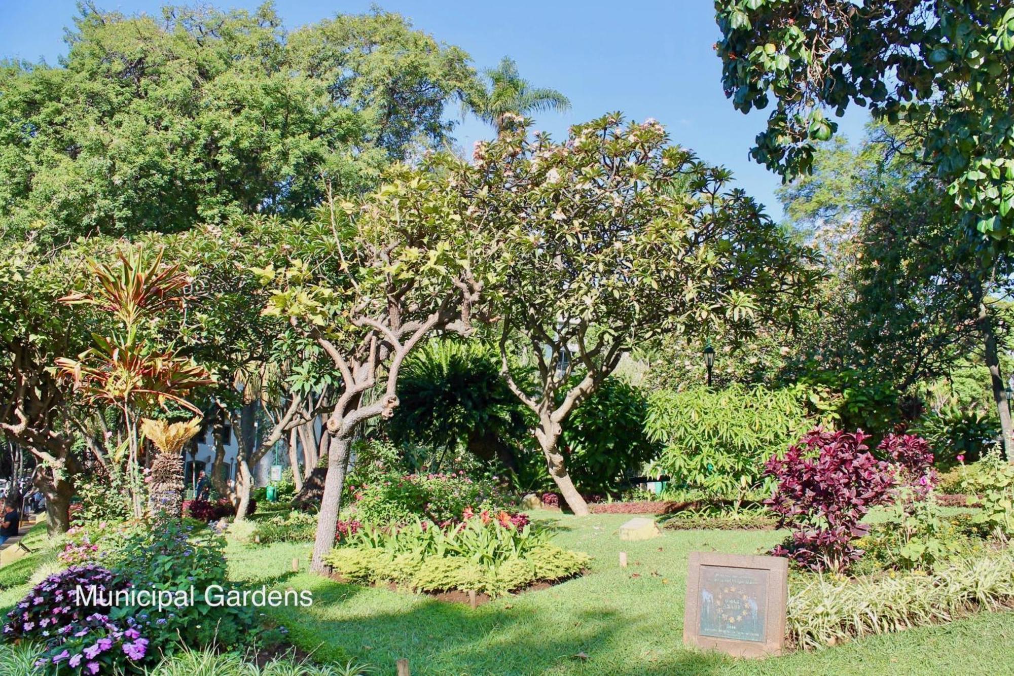 Ourmadeira - Heart Of Old Town II Apartment Фуншал Екстериор снимка