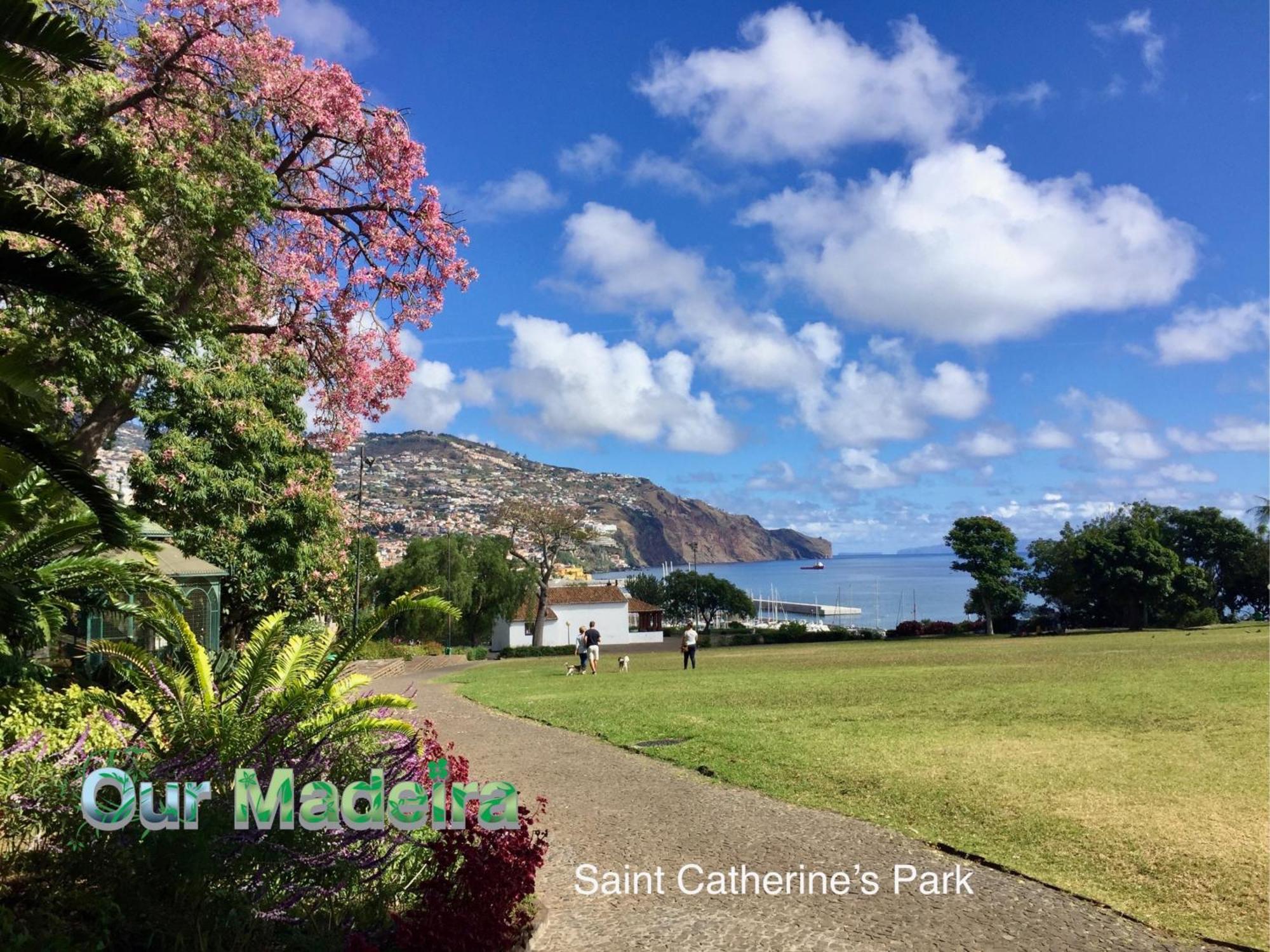 Ourmadeira - Heart Of Old Town II Apartment Фуншал Екстериор снимка